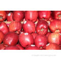 Red Delicious Organic Fuji Apple With Smooth Surface Improv
